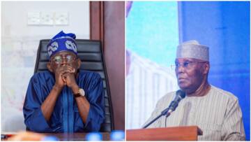 Fuel subsidy: Atiku finally speaks on Tinubu's declaration