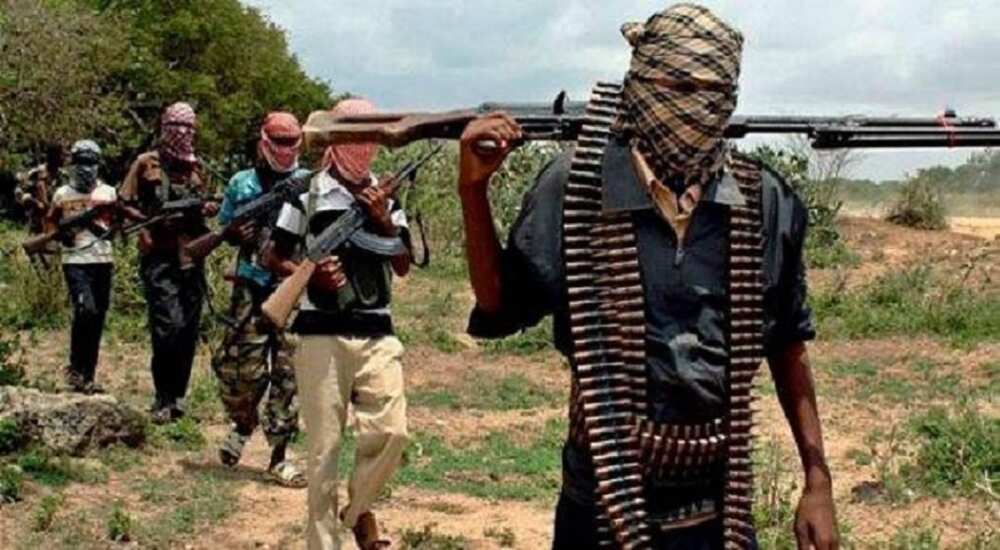 Yanzu-yanzu: Al'ummar gari sun tsere daga gidajensu a yayinda Boko Haram ta sake kai hari