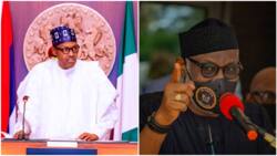 CBN policy: "Act now or Nigerians' pain will affect us in 2023 poll" - APC gov tells Buhari