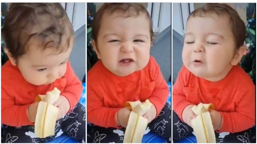 Adorable video of little kid passionately eating banana goes viral