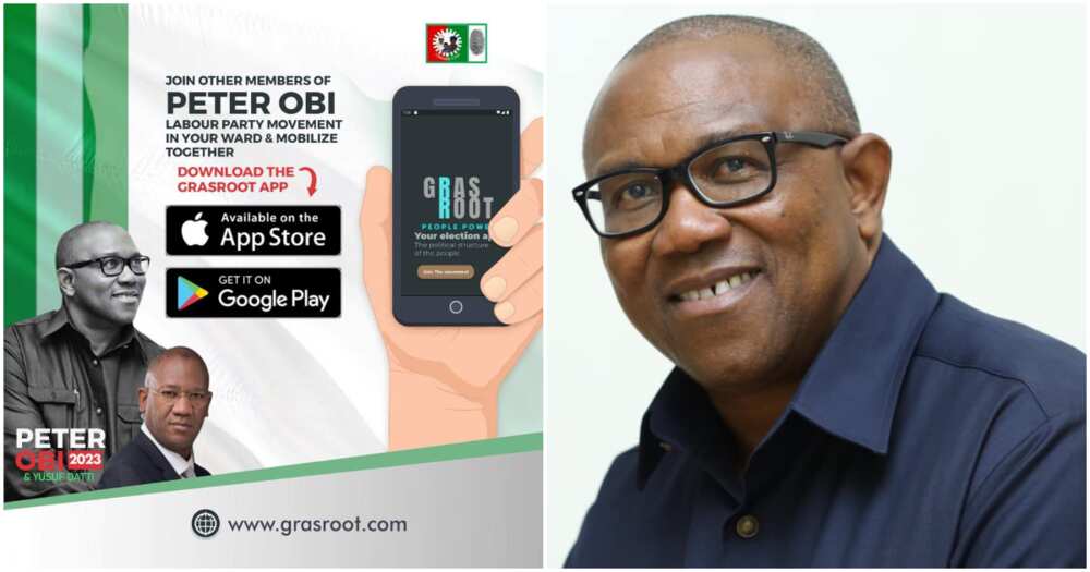 Peter Obi, 2023 election, Yusuf Datti, Labour Party