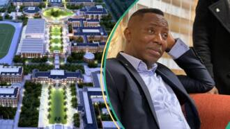Charterhouse Lagos: Sowore exposes those whose children attend most expensive primary school