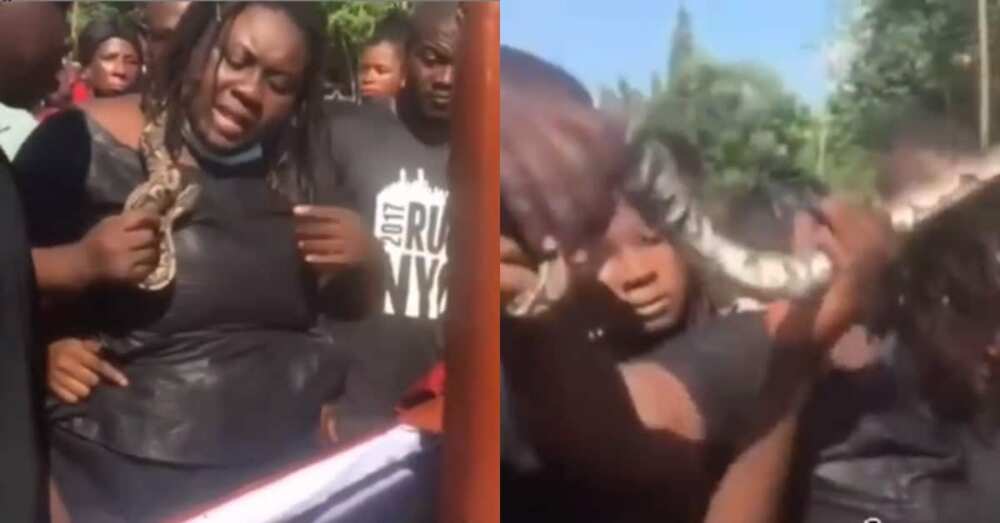 Fusatacciyar Mata Ta Sanya Maciji A Cikin Akwatin Gawar Mijinta Don Yin Maganin Wadanda Suka Kashe Shi Fusatacciyar Mata Ta Sanya Maciji A Cikin Akwatin Gawar Mijinta Don Yin Maganin Wadanda Suka Kashe Shi