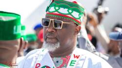 Kogi guber: Nigerian witches give Dino Melaye one condition to hand him victory at poll