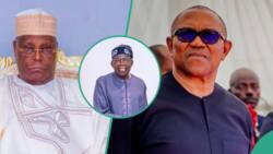 Matsala ga Tinubu yayin da Atiku Abubakar ya gana da Peter Obi, bayanai sun fito