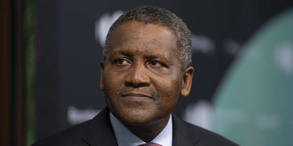 Becoming Africa's richest: 4 businesses Owned by Aliko Dangote; How He Started them With Loan