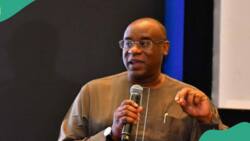 No plans to make $1 equal N1.25, CBN says, warns commercial banks about spending FX gains recklessly