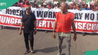 High electricity tariffs: Labour unveils demand as protests start across Nigeria