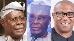 Floods: ‘What kind of leader are you?’ Bode Bode George Blasts Atiku, backs Obi’s call to suspend campaigns