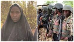 Nasara Daga Allah: Bayan Shakaru 9, Sojojin Najeriya Sun Ƙara Samun Babbar Nasara a Borno