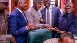 Fayemi wanted me to subvert elections as APC boss, but I said no - Oshiomhole spills, governor reacts