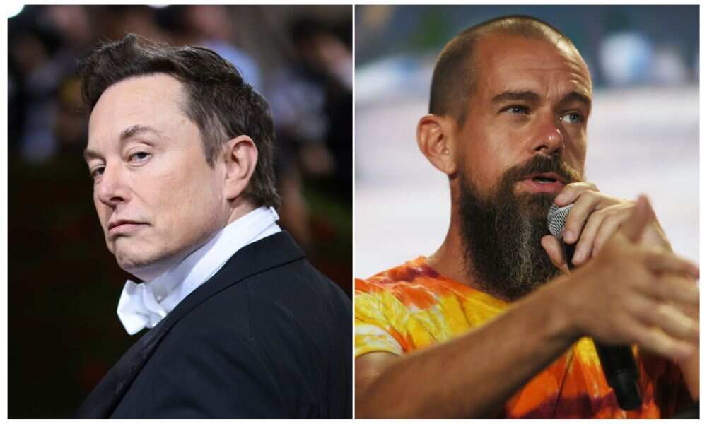 Elon Musk Invites Twitter Founder Jack Dorsey As Battle Over Failed $44 ...