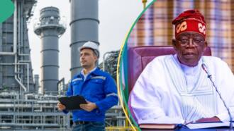 FG announces scholarship for Nigerian students interested in oil & gas industry