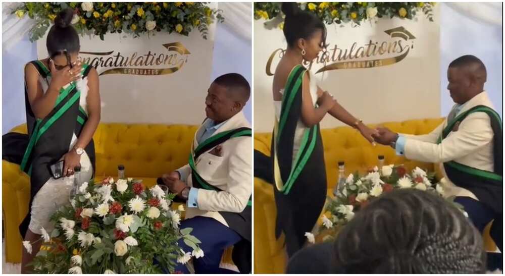 Nluthando proposal