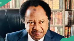 Shehu Sani reacts as residents loot foodstuffs from govt warehouse in Abuja: “Impending revolution”