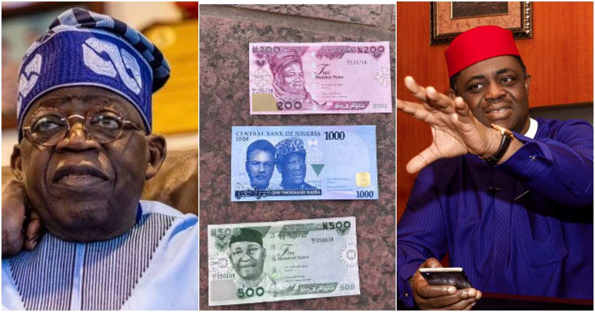 Naira redesign: Powerful APC chieftain reveals plot to stop Tinubu with new notes scarcity by cabals in Buhari's govt