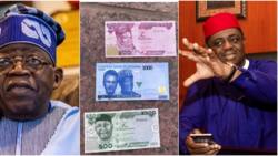 Naira Scarcity: “Suffering and wickedness” Fani-Kayode laments, alleges ‘cabals working against Tinubu’s emergence’