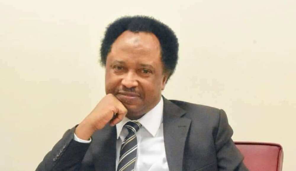 Sanata Shehu Sani.