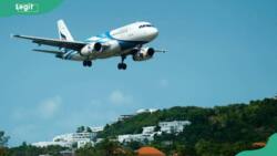 Top 15 travel agencies in Nigeria in 2023: services, locations, contacts