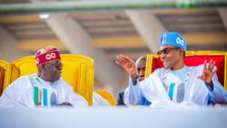 BREAKING: Tension erupts as Tinubu removes Buhari's appointees, makes 17 appointments