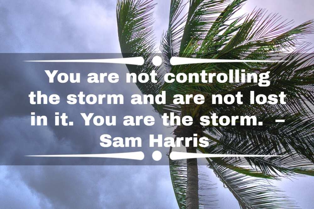storm quotes for Instagram