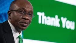 CBN releases requirements for Nigerians, investors interested in getting a banking licence