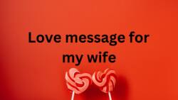 150+ romantic love message for my wife to make her feel special (with images)