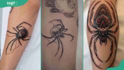 Spider tattoo meaning, history and 15 beautiful design ideas