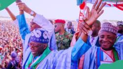 APC wins 2 more senatorial seats, 4 House of Reps seats in by-elections