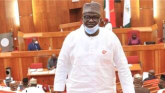 2023 elections: Prominent Nigerian senator loses PDP primary