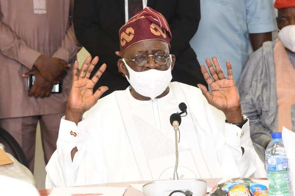 Your ambition is not national: Reactions as Tinubu meets APC senators, seeks support for 2023 race Your ambition is not national: Reactions as Tinubu meets APC senators, seeks support for 2023 race
