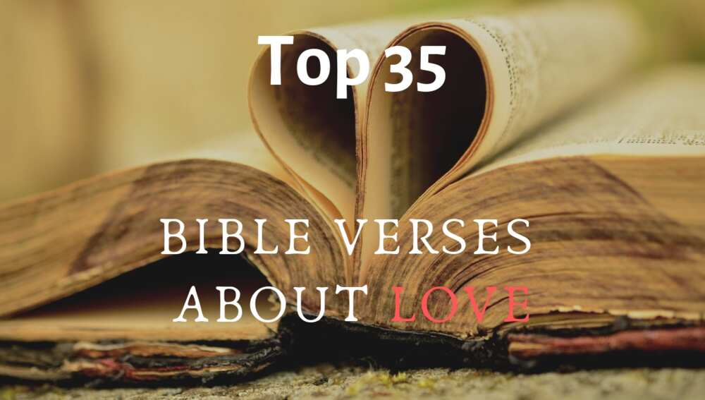 Bible verses about love