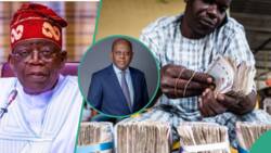 CBN new governor, Yemi Cardoso job gets tougher as Naira nears N1000/$ exchange rate