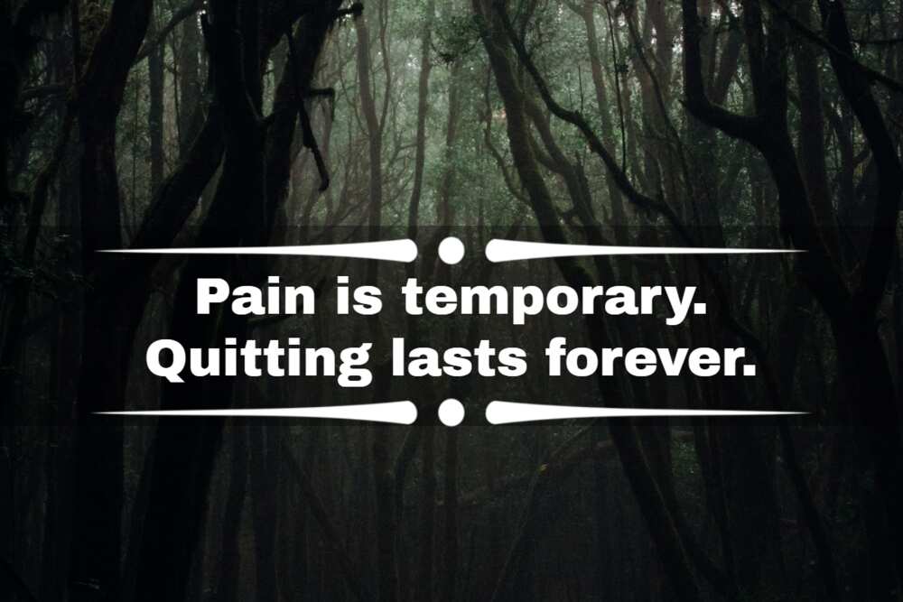 dark quotes about pain