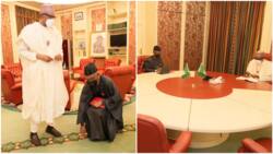 Our governor our pride: Reactions as photo shows El-Rufai kneeling before Buhari at Aso Rock