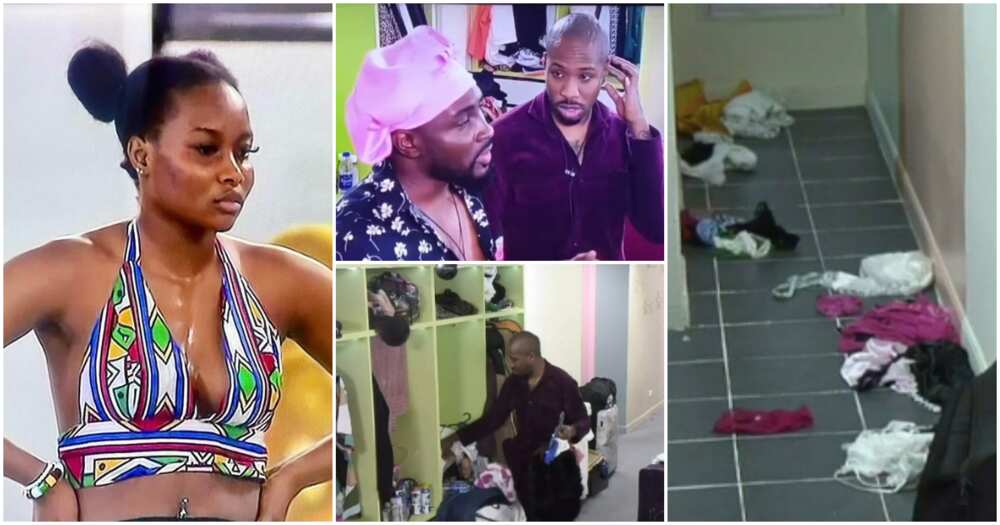 Big Brother Naija on X: During his Diary Session, Bryann asked if he could  spend his Pocket Naira on a picnic for Modella. Click   for #BBNaija updates.  / X