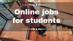 Top 20 online jobs for students in Nigeria that pay in 2022