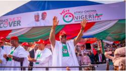 2023 elections: Massive turnout greets PDP campaign in Kogi