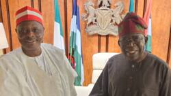 Ministerial appointment: Why President Tinubu Dropped Kwankwaso, Sources Reveal