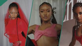 Beryl TV 2c52143266bde5bf “Their Songs Are Not Dope”: Daniel Regha Drags Davido, Ayra Starr, Tyla Over Grammy Nominations Entertainment 