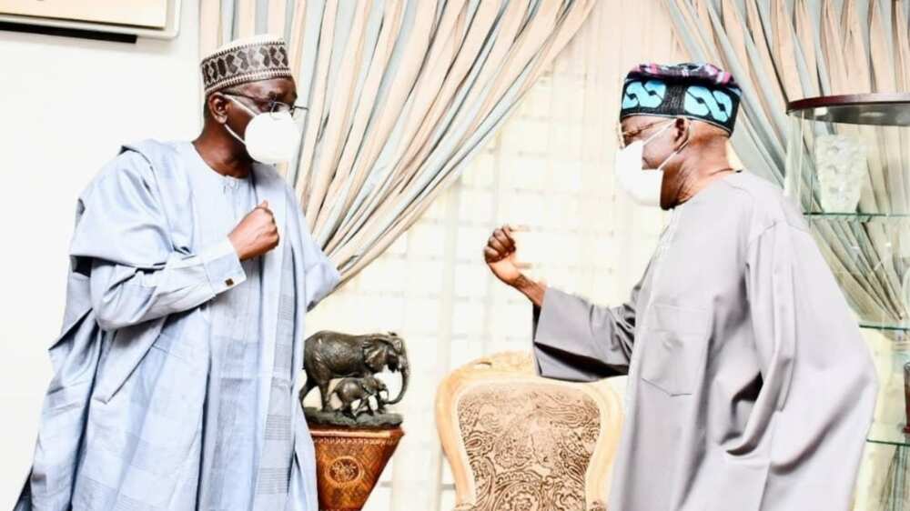 What I Discussed with Tinubu in Lagos, Shekarau Reveals