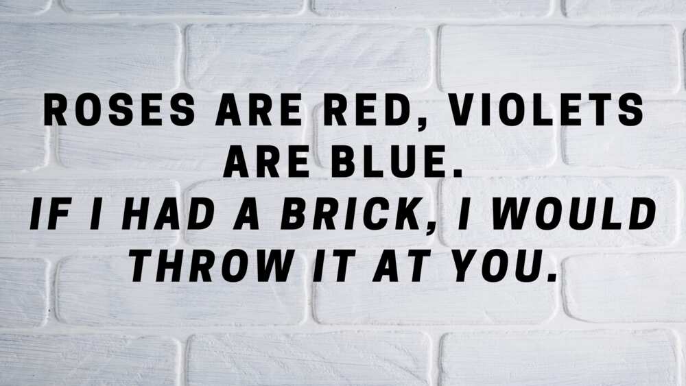 Funny roses are red are blue poems and - Legit.ng