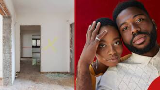 "Get a loan": Young couple needs help to raise N53m for home decoration, people react