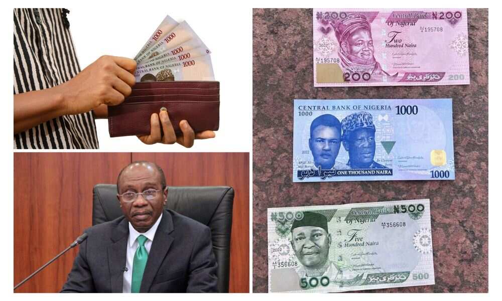 Features of New Naira Notes as Nigerians Wait For D-Day - Legit.ng