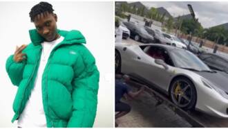 "This one na pressure": Mixed reactions as Zinolesky splashes N120m on Ferrari after fight with Seyi Vibez