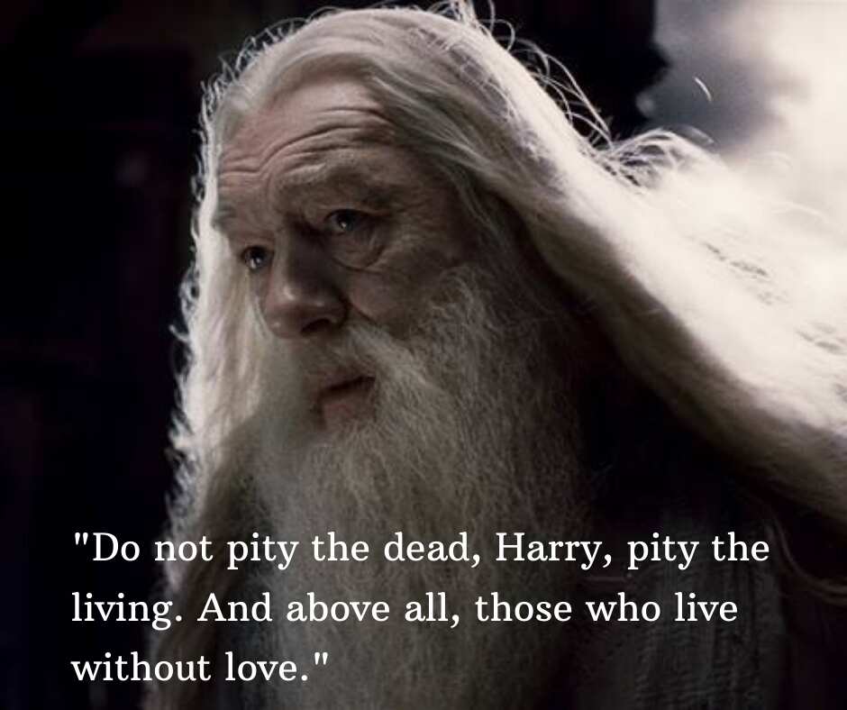 harry potter quotes