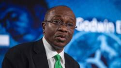 New Naira notes: CBN says it is searching for N2.56 trillion outside banking system