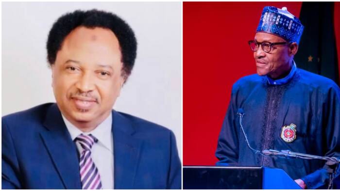 “Under Buhari, protest was a taboo”: Shehu Sani reveals why northerners didn't join EndSARS protest