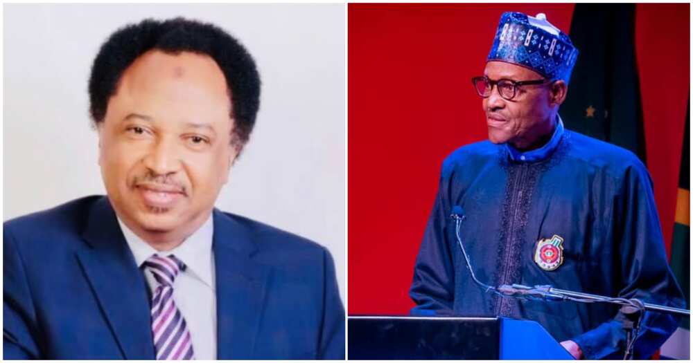 Shehu Sani reacts to ongoing NLC protest