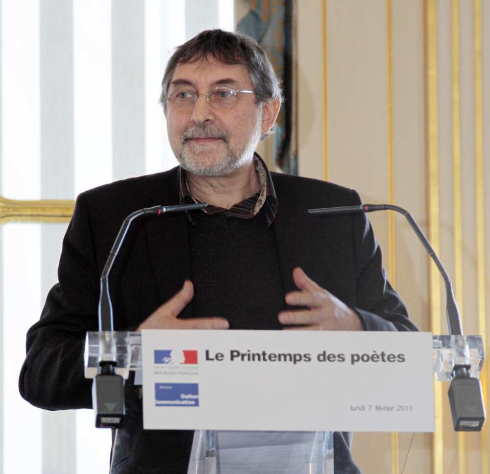 Qu’est-ce qu’un genre littéraire et combien y en a-t-il ? Qu’est-ce qu’un genre littéraire et combien y en a-t-il ?